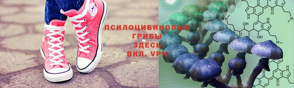 МДПВ Верхнеуральск