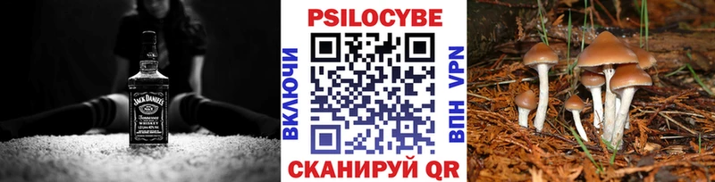 Галлюциногенные грибы Cubensis Заволжск